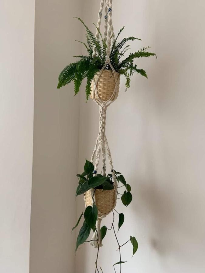 Lovely Spacious 1-Bedroom Flat In Tufnell Park Close To Central ロンドン エクステリア 写真