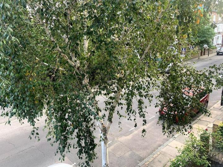 Lovely Spacious 1-Bedroom Flat In Tufnell Park Close To Central ロンドン エクステリア 写真